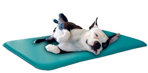 Tapis Rafraichissant Chien&nbsp;Maxizoo