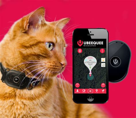 Cat Gps Tracker&nbsp;Whistle