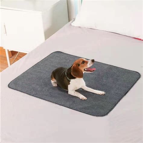 Tapis Chien Lavable