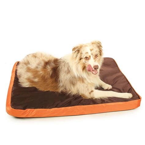 Matelas Chien Imperméable