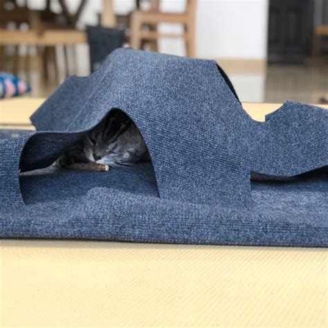 Tapis De Jeu Pour Les&nbsp;Chats