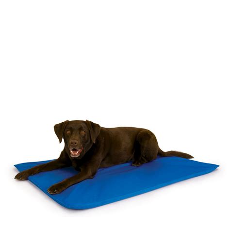 Tapis Rafraîchissant Chien Kokoon